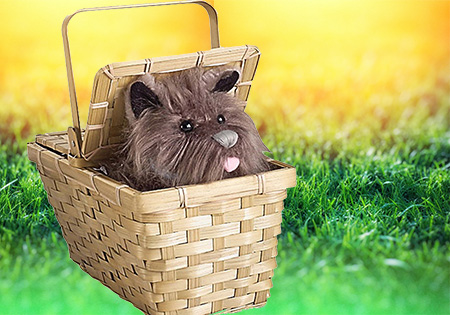 Image for event: WIZARD OF OZ: TOTO LOOK-ALIKE CONTEST