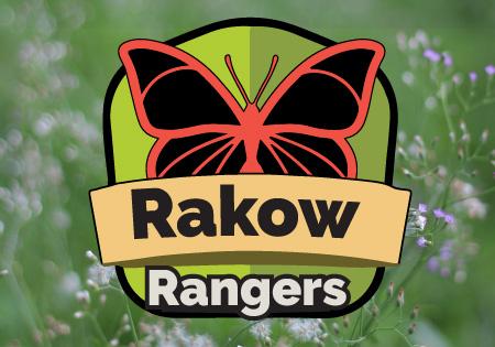 Image for event: Rakow Rangers Presents: Handprint Butterflies